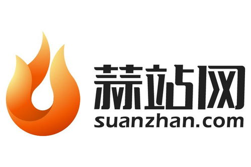 四川蒜站網絡科技 引領科技創新與數字化轉型